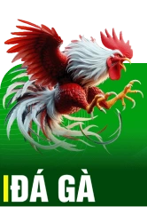 Đá Gà 69VN