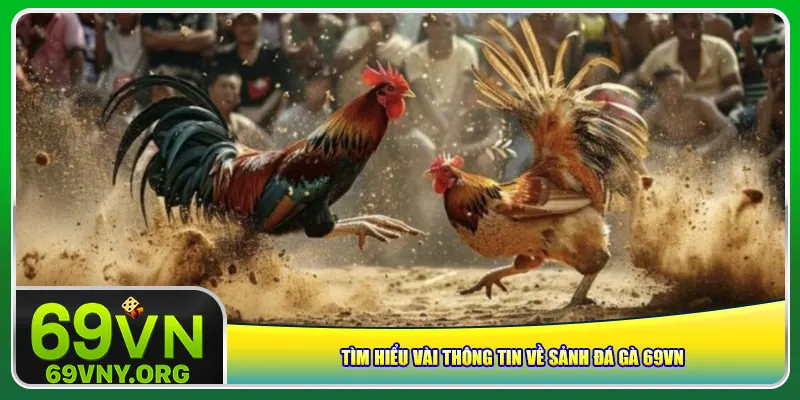 Tìm hiểu vài thông tin về sảnh đá gà 69vn