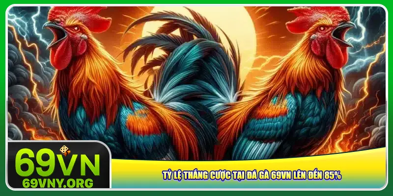 Tỷ lệ thắng cược tại đá gà 69vn lên đến 85%